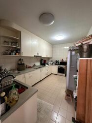 Lorong H Telok Kurau (D15), Terrace #482583271